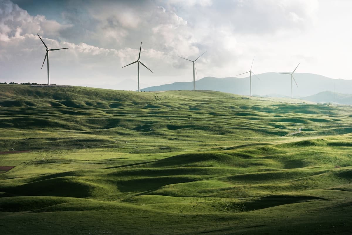 Wind turbines on green hills