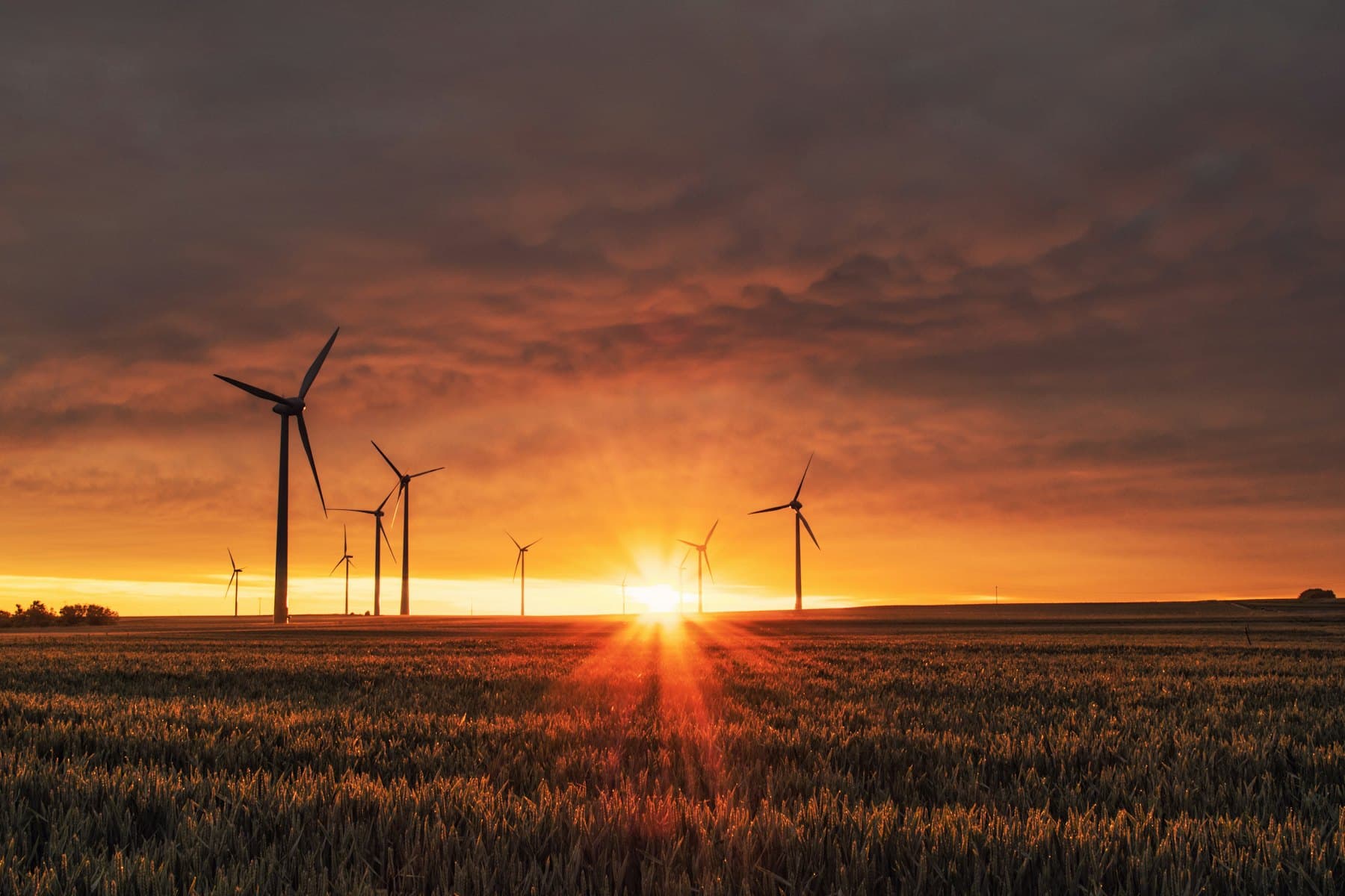 Turbines spread across open terrain, where hills and obstacles set the turbulence each machine experiences